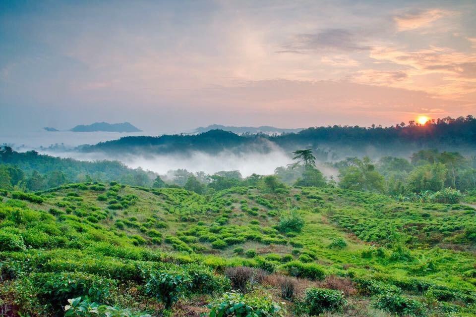 Ranau Backpackers Hostel Ngoại thất bức ảnh